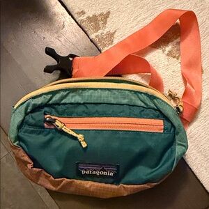 Patagonia Multicolor Waist Pack